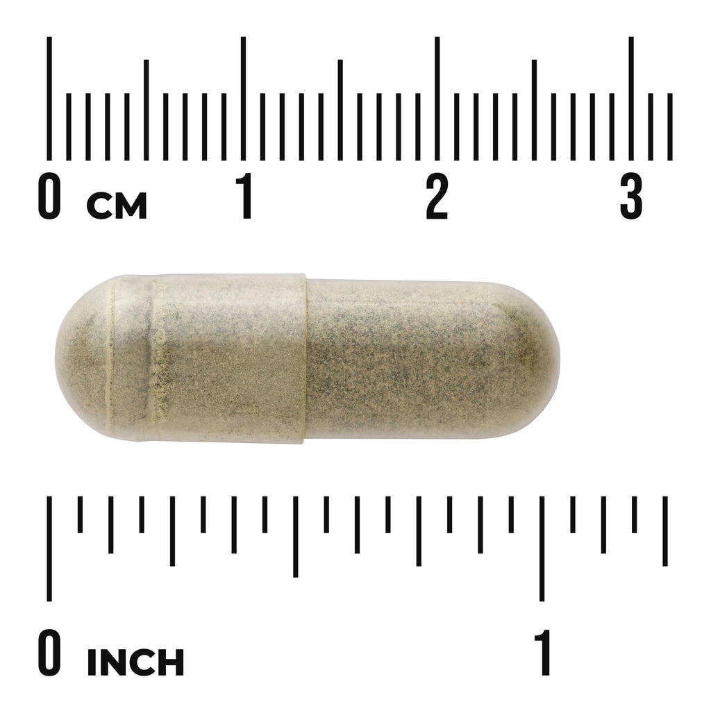 SWR029 | Capsule size shown against ruler with 0 cm and 0 inch markings - Thumbnail