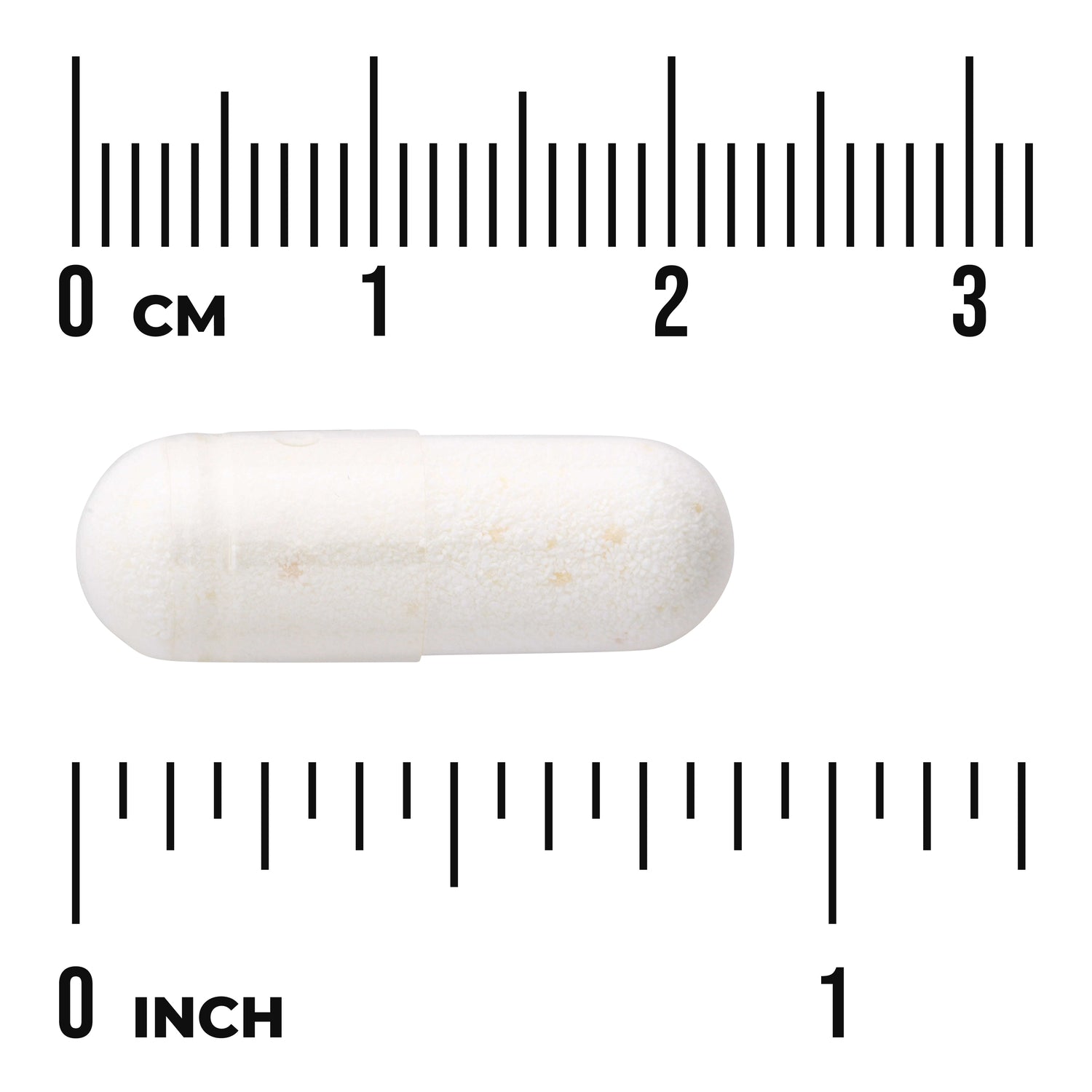SW282 | White capsule shown to scale with cm and inch rulers