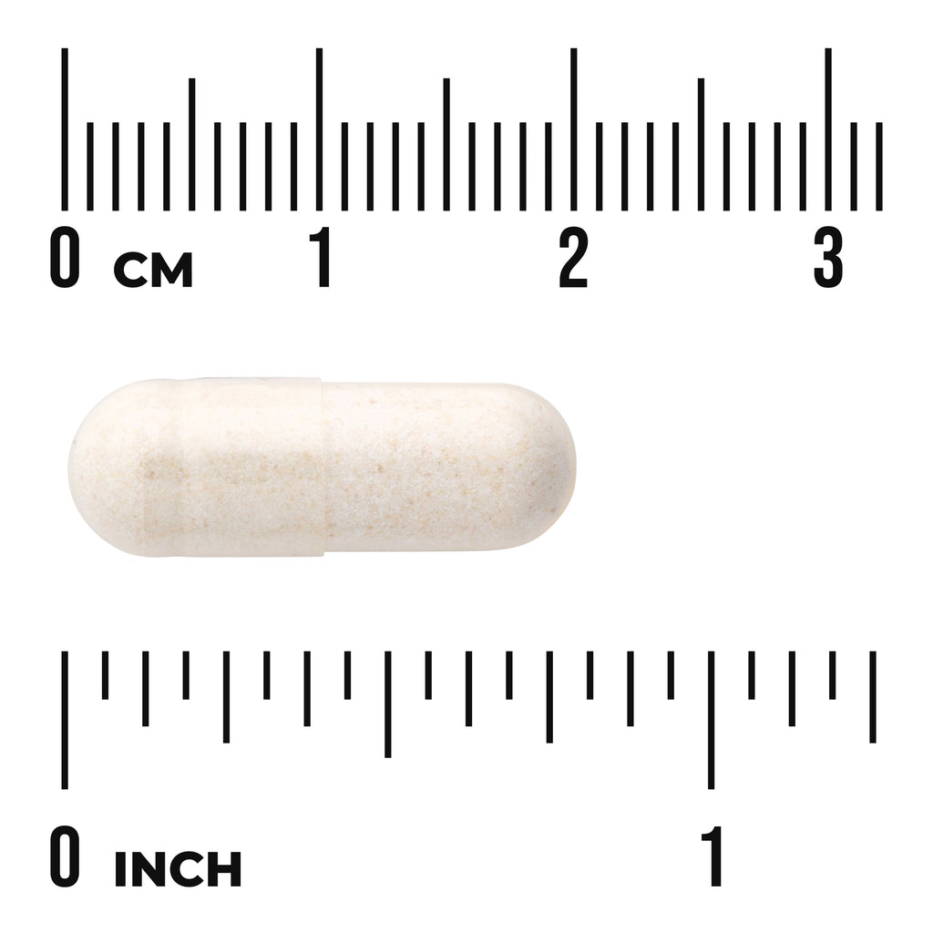 SWU281 | White capsule shown with rulers in centimeters and inches for size - Thumbnail