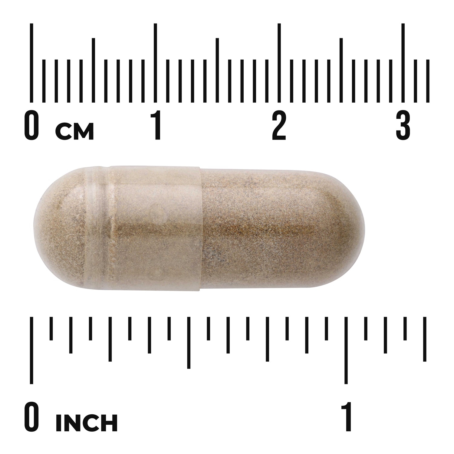 SWH262 | Capsule shown against cm and inch ruler for size reference