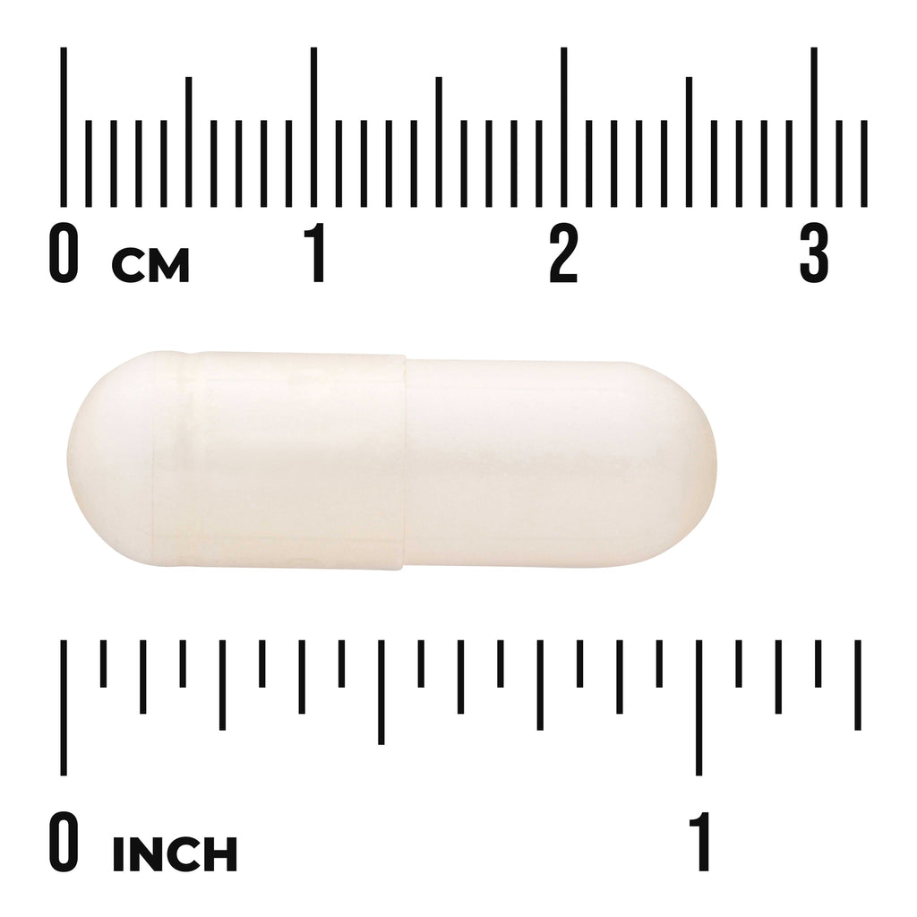 SWU453 | White capsule shown next to ruler scale in centimeters and inches - Thumbnail
