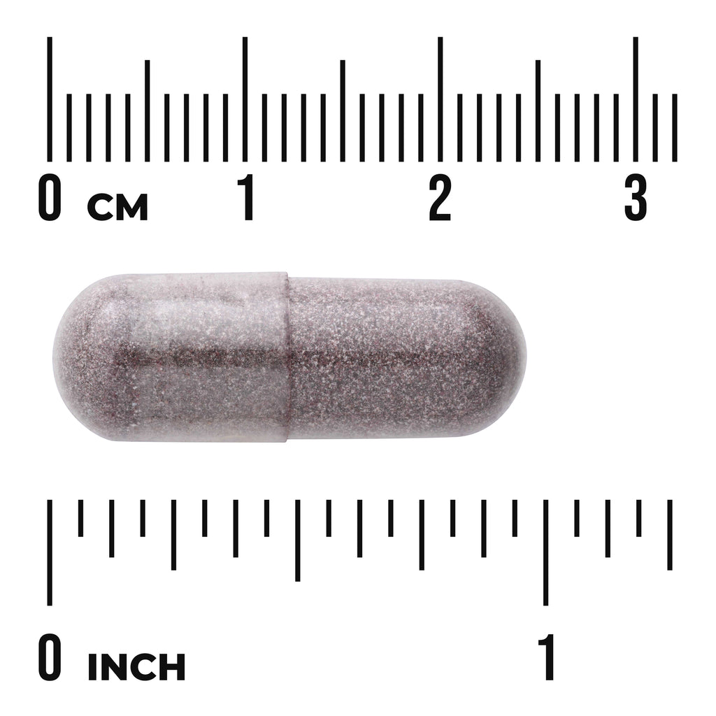 SWH008 | Capsule shown with inch and centimeter rulers for size reference - Thumbnail