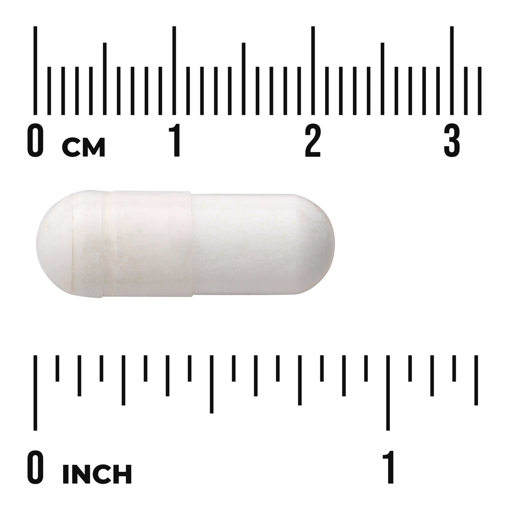 SWU977 | White capsule shown against centimeter and inch rulers for scale with visible text "CM" and "INCH" - Thumbnail