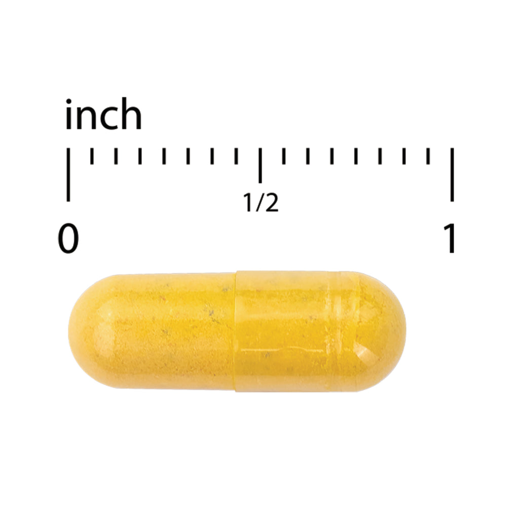 EUR070 | yellow capsule pill centered under inch ruler showing 0, 1/2, and 1 inch scale - Thumbnail