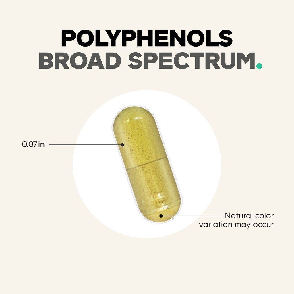 CDG054 | Polyphenols broad spectrum capsule with 0.87 in size callout and natural color variation note - Thumbnail