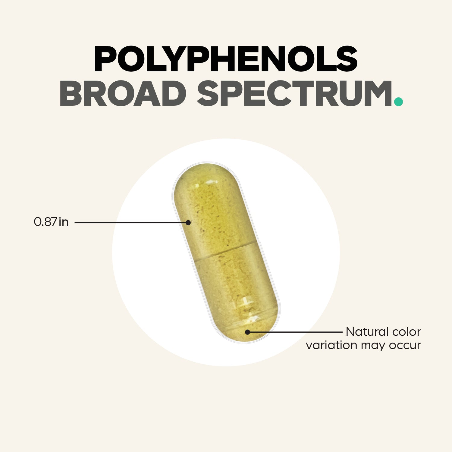 CDG054 | Polyphenols broad spectrum capsule with 0.87 in size callout and natural color variation note