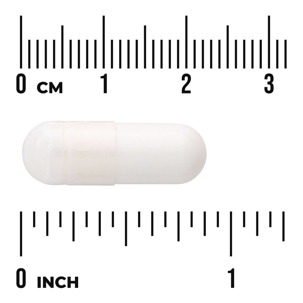 SWU509 | White capsule with cm and inch rulers showing size - Thumbnail