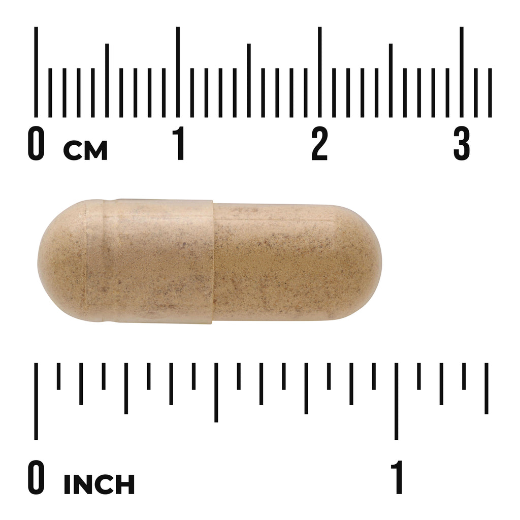 SW1557 | Beige capsule with size rulers in centimeters and inches - Thumbnail