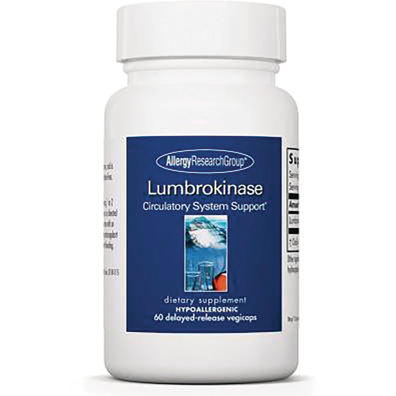 ARG014 | white supplement bottle with blue label reading Lumbrokinase Circulatory System Support, 60 vegicaps