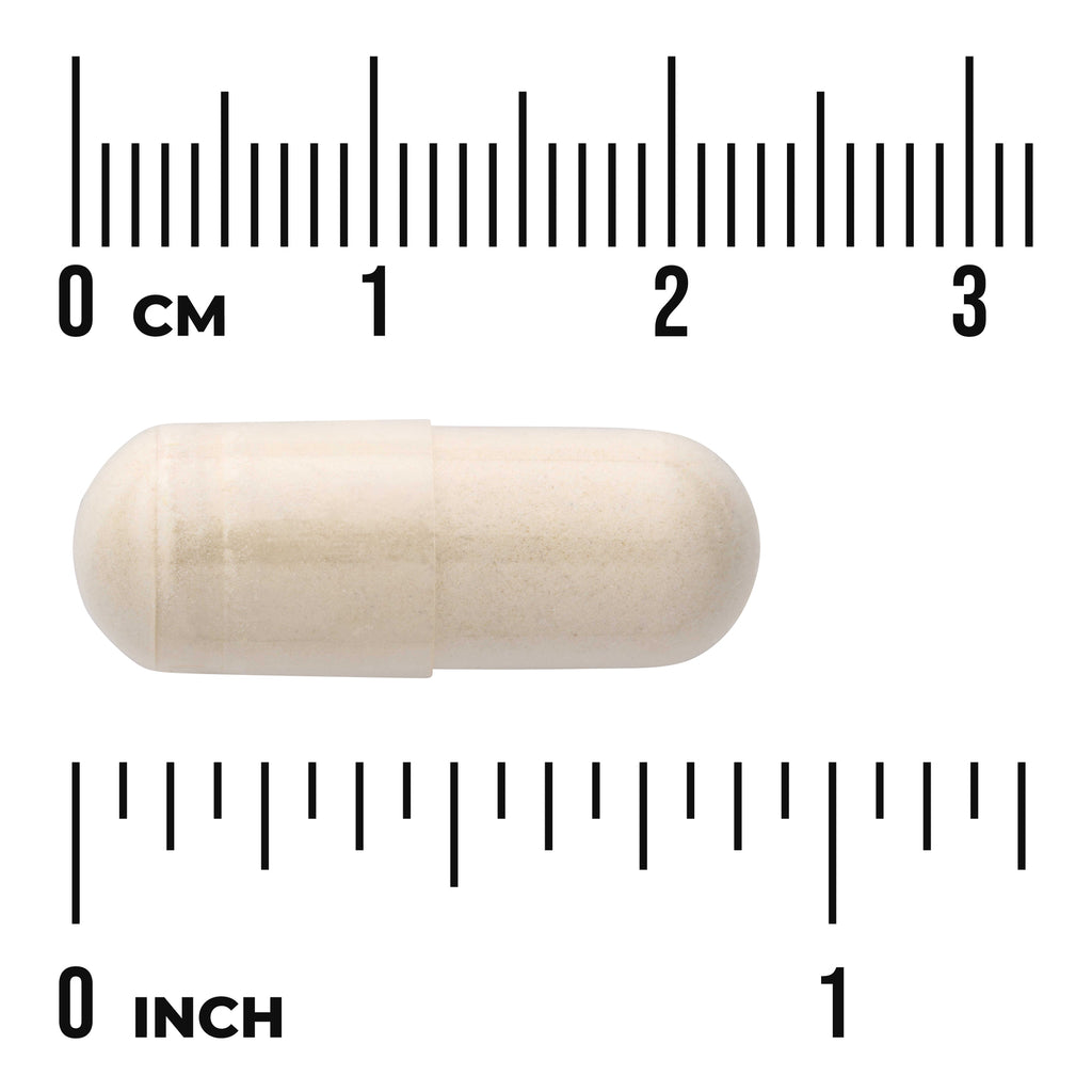 SWG08 | Beige capsule centered on rulers marked in cm and inch showing size, visible text "CM" and "INCH" - Thumbnail