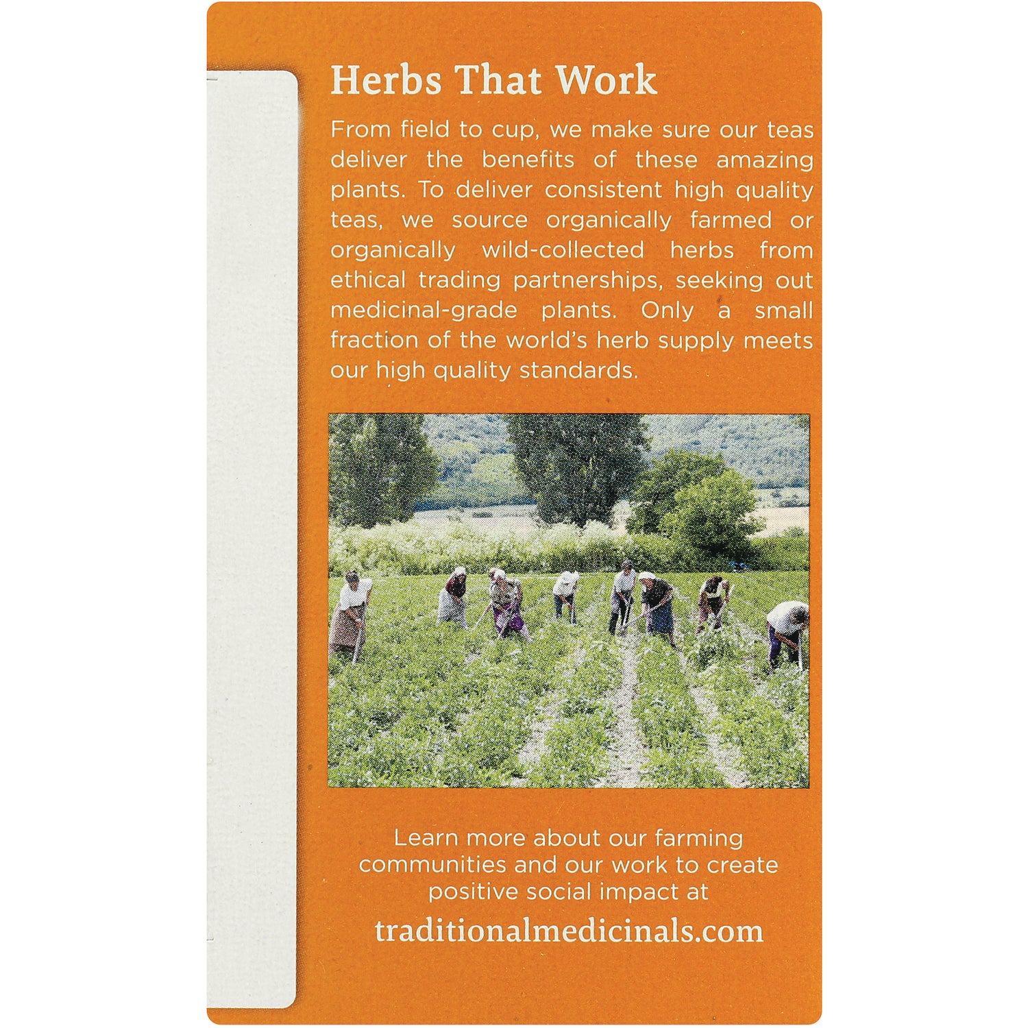 TMD032 | Herbs That Work panel with sourcing message and farmers in a field; traditionalmedicinals.com