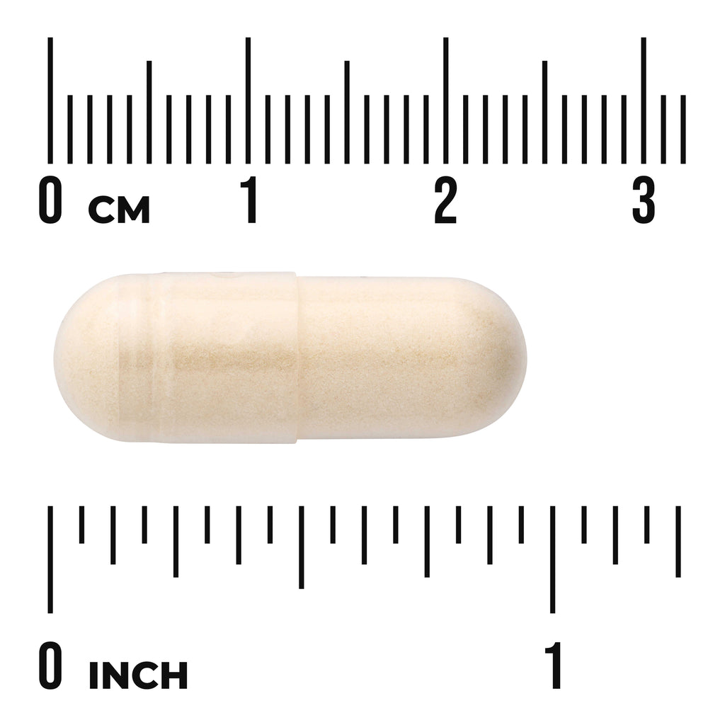 SW1807 | Beige capsule with centimeter and inch ruler for size - Thumbnail