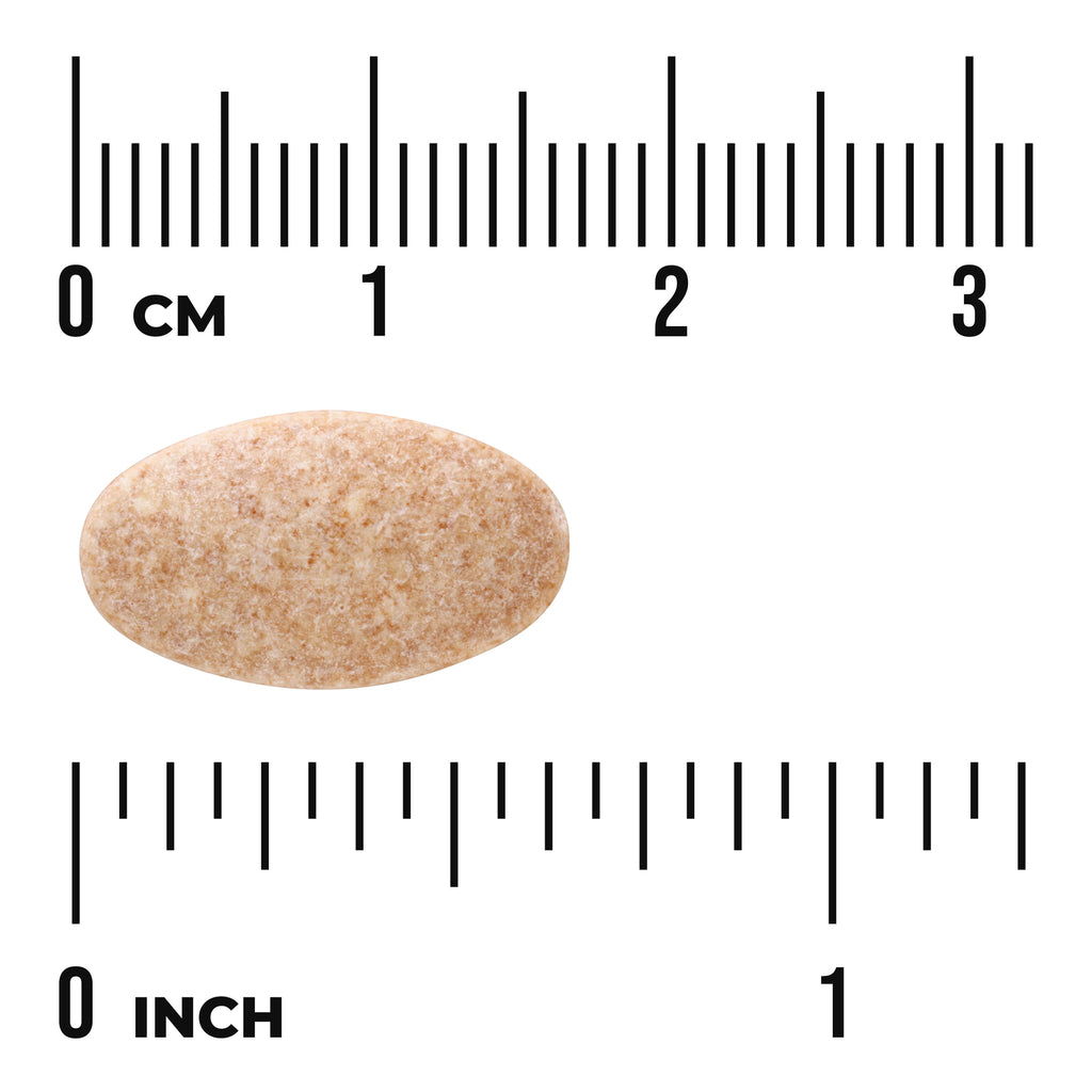 SW094 | Beige speckled oval tablet between rulers showing 03 cm and 01 inch with visible text 'cm' and 'inch' - Thumbnail