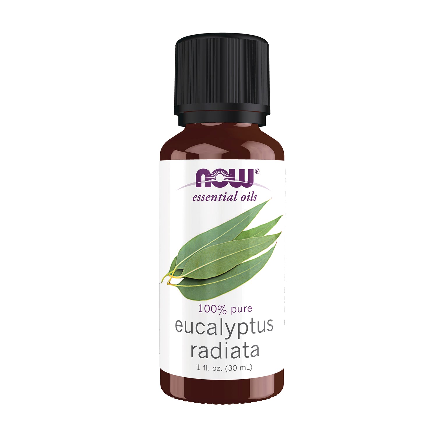 NWF1401 | 1 fl oz amber bottle of NOW essential oils labeled 100% pure eucalyptus radiata with black cap