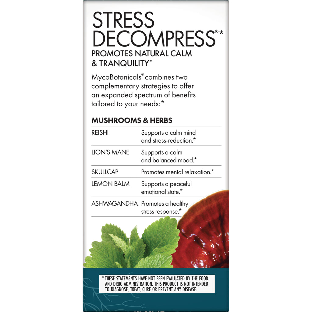 FUN032 | product infographic for Stress Decompress listing mushrooms and herbs: reishi, lion's mane, skullcap, lemon balm, ashwagandha and their benefits - Thumbnail