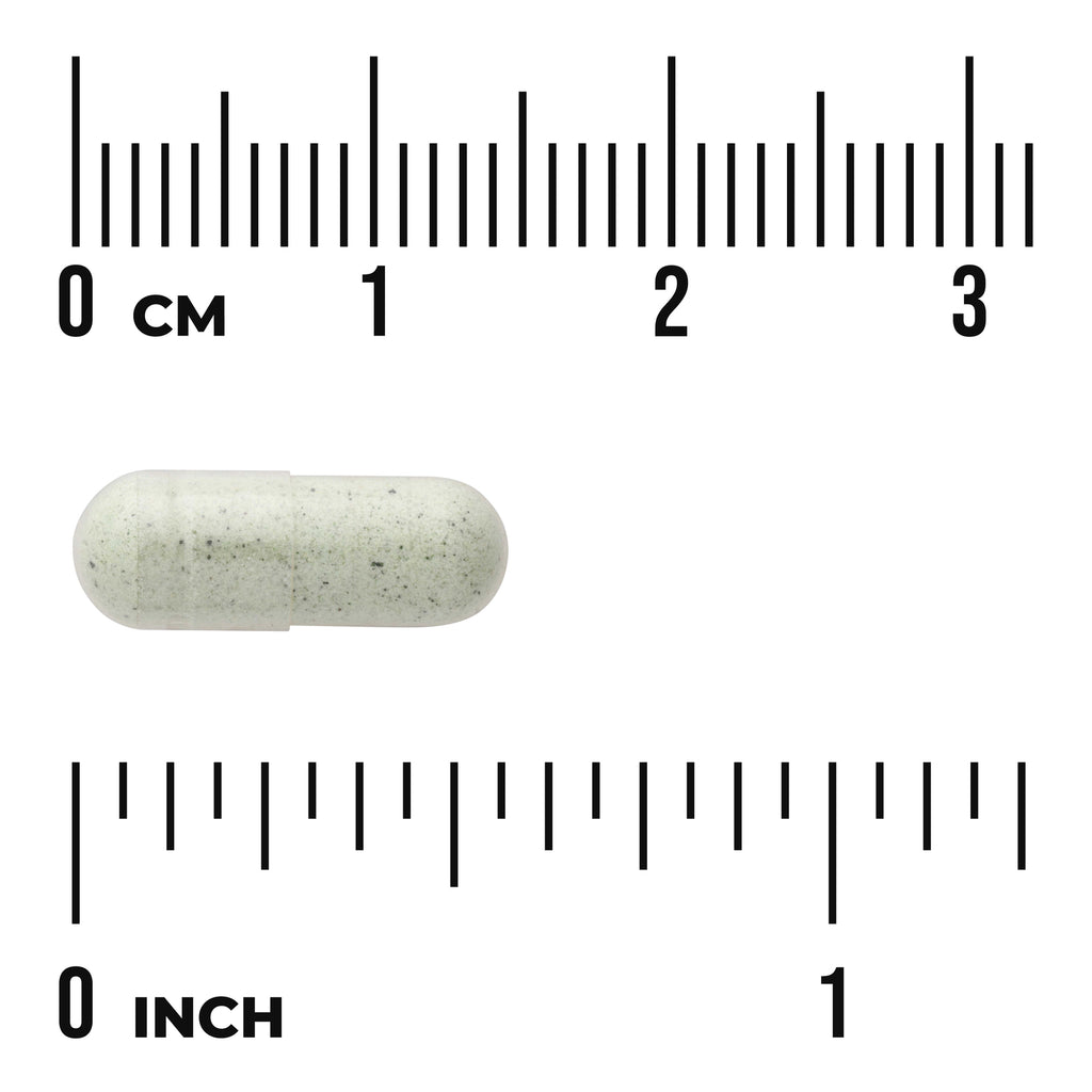 SWH217 | Capsule shown with cm and inch rulers for size - Thumbnail