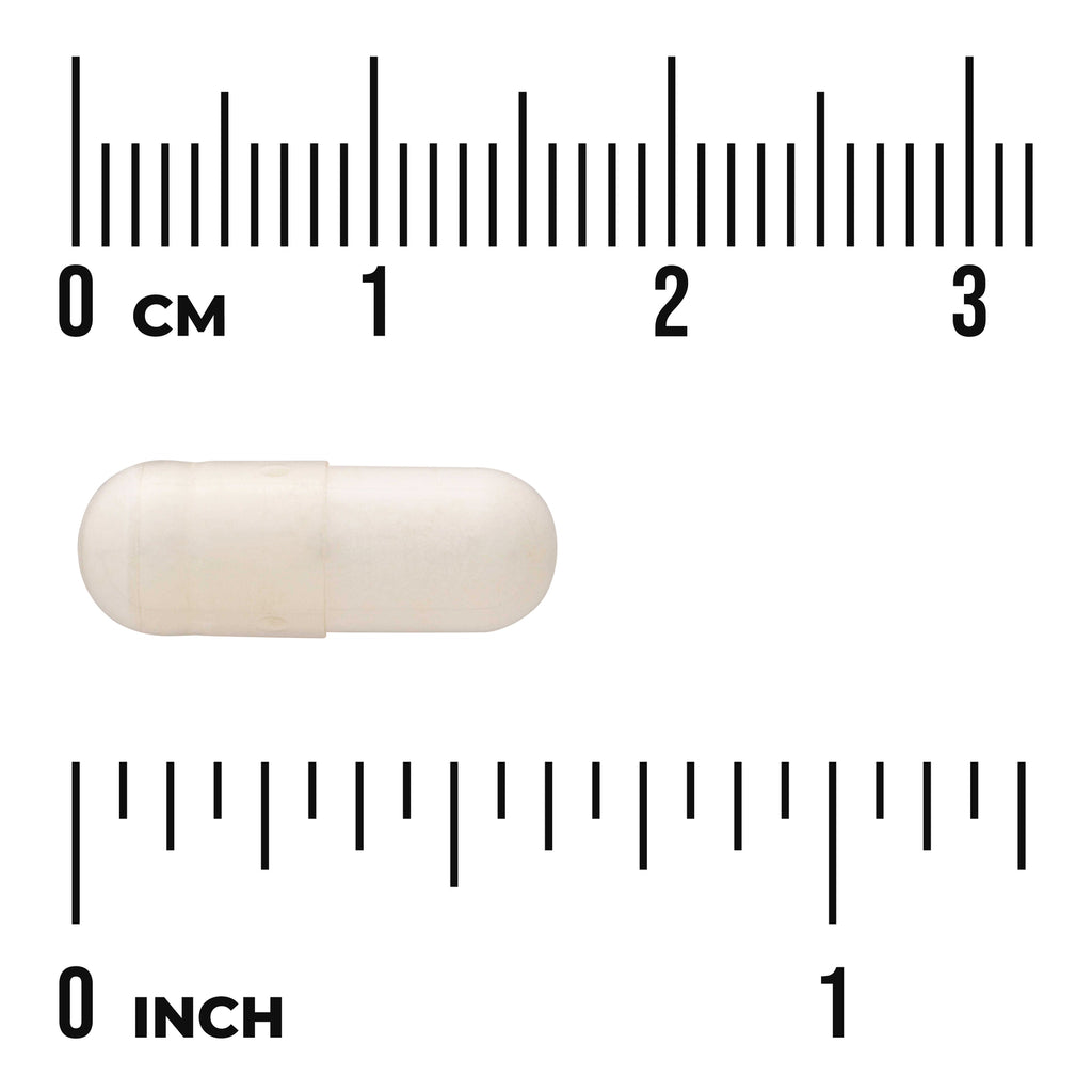 SWU065 | White capsule with 03 cm and 01 inch rulers for size reference - Thumbnail
