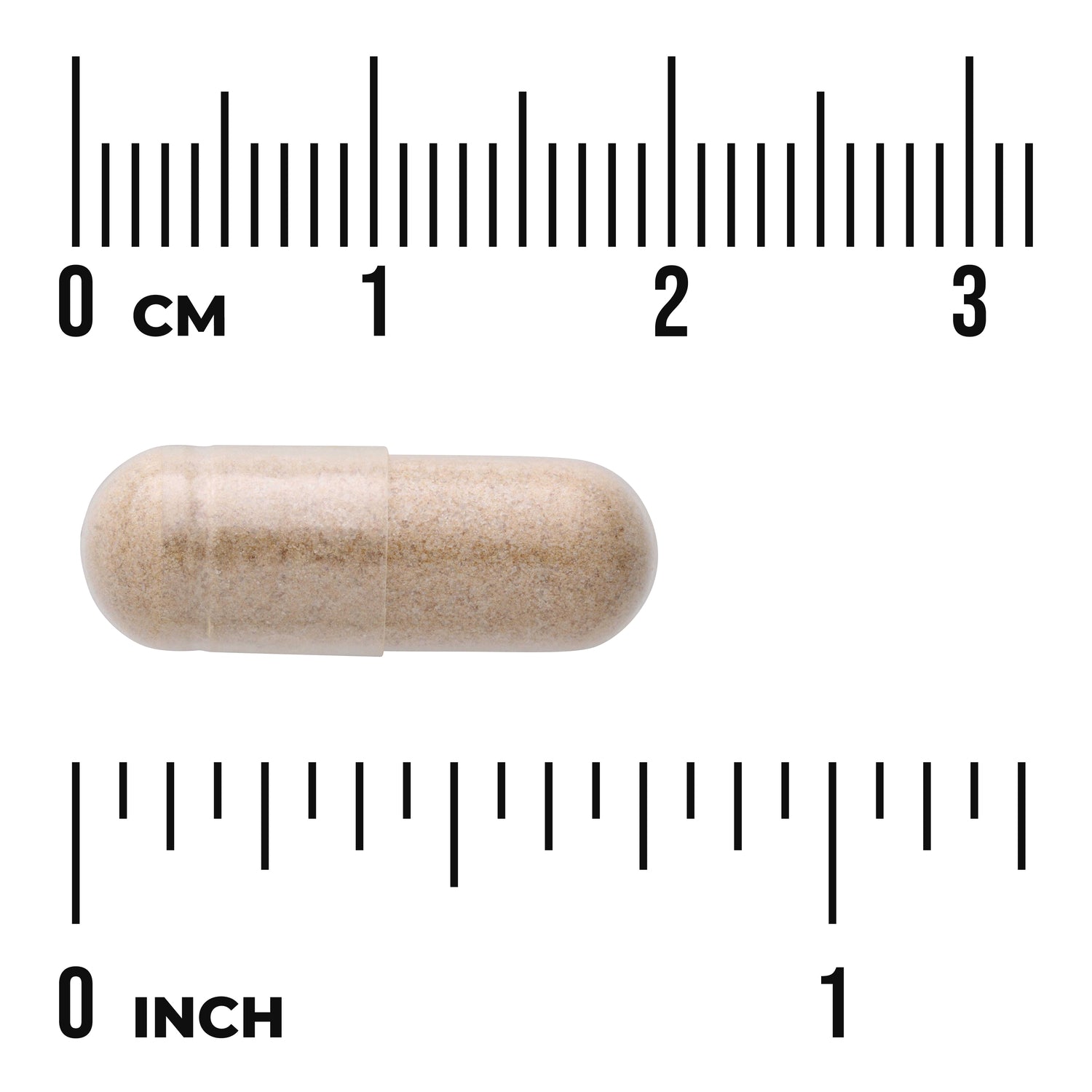 SW1297 | Beige capsule on rulers showing scale, with visible text 0 CM and 0 INCH