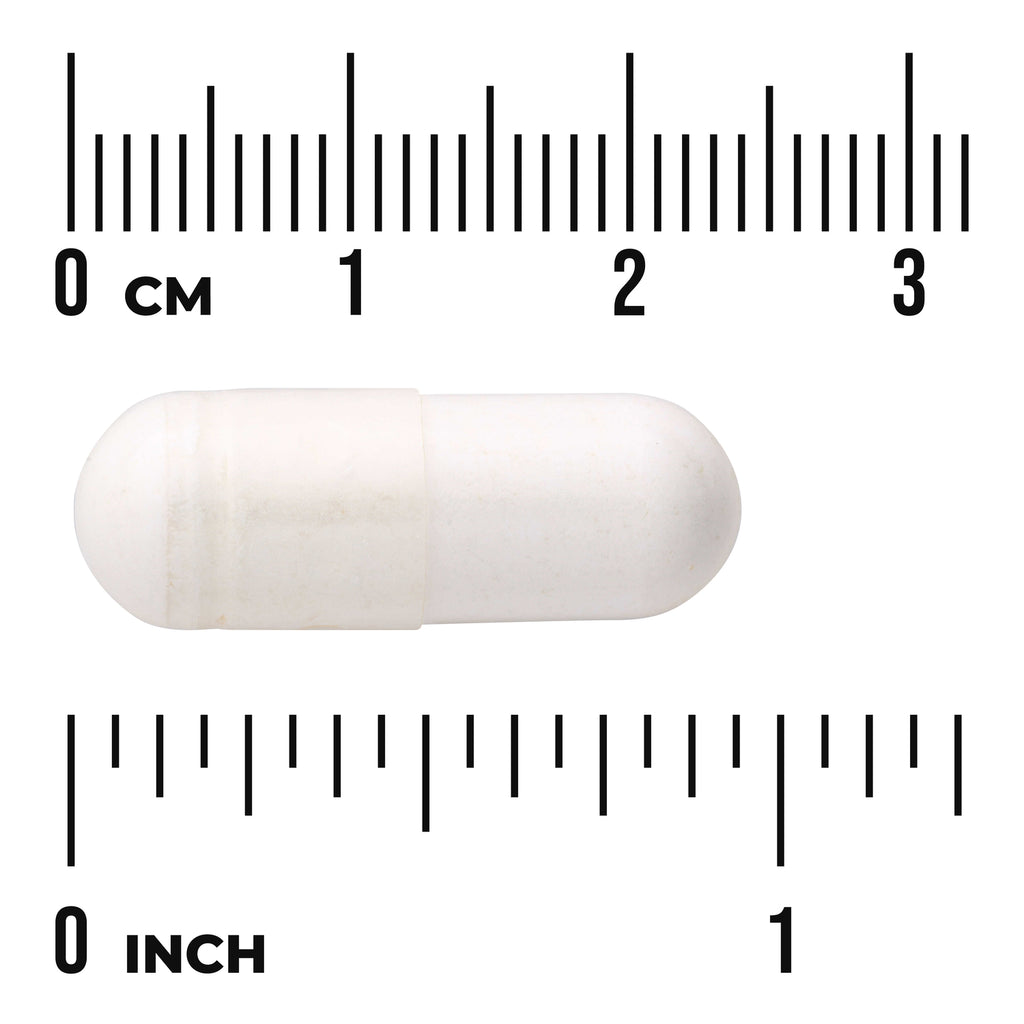 SWU418 | White two-piece capsule on centimeter and inch rulers showing about 2.5 cm length, visible text "0 CM" and "0 INCH" - Thumbnail