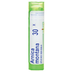 BRN102 | green tube front of Arnica montana 30X homeopathic pellets, label reads Arnica montana 30X
