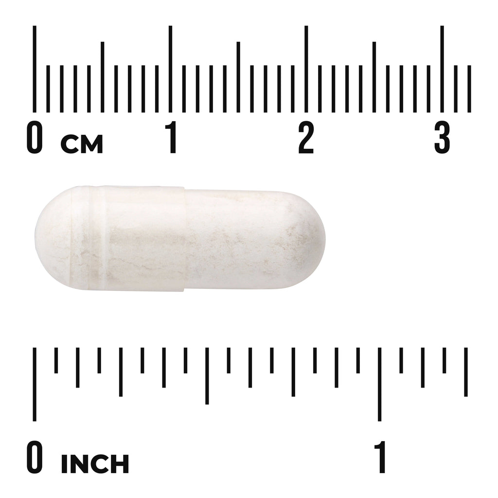 SW988 | White capsule shown with cm and inch rulers for size - Thumbnail
