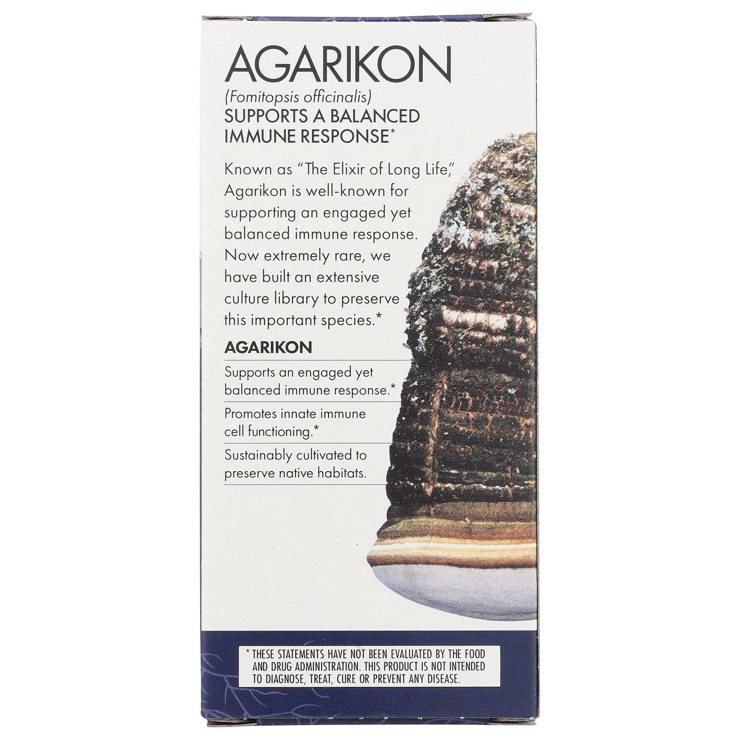 FUN011 | Product infographic of Agarikon box showing mushroom image and text supporting a balanced immune response