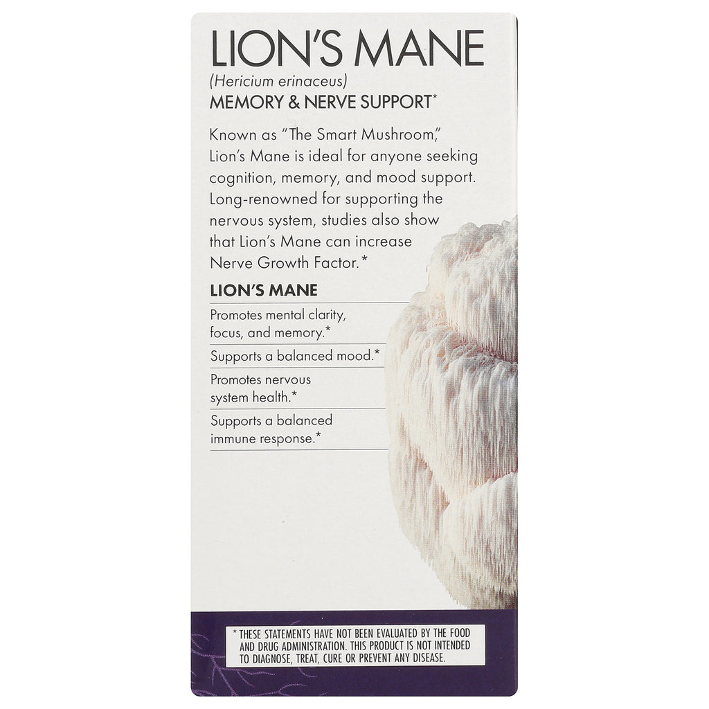 FUN010 | LION'S MANE infographic listing memory and nerve support benefits and disclaimer - Thumbnail