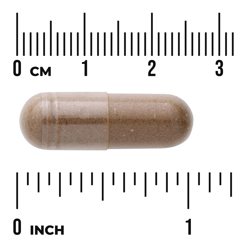 SW1145 | Brown supplement capsule shown to scale with cm and inch rulers - Thumbnail