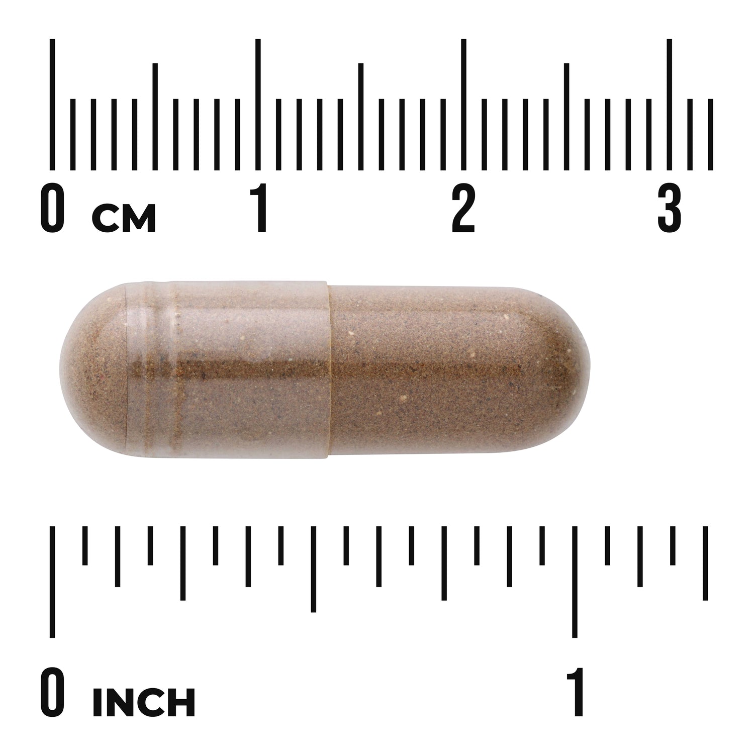 SW1145 | Brown supplement capsule shown to scale with cm and inch rulers