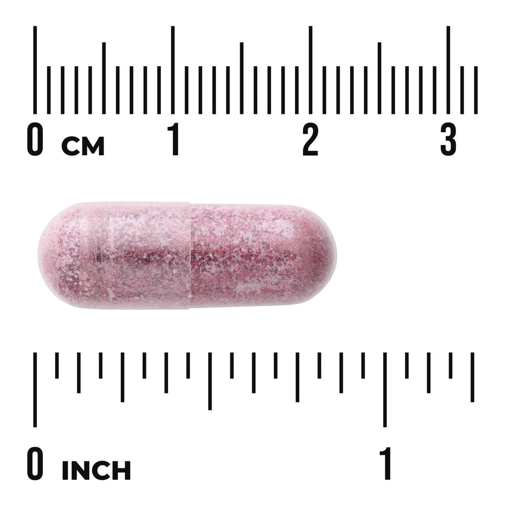 SWR071 | Pink capsule shown to scale with rulers in cm and inches - Thumbnail