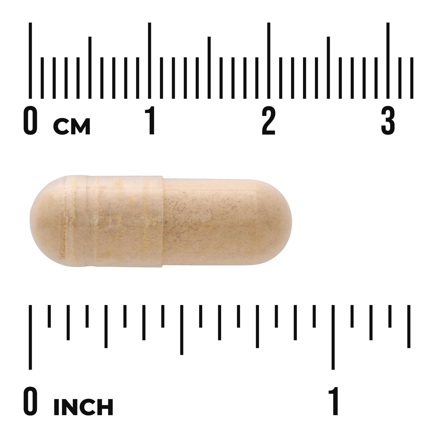 SWP011 | Tan capsule with size reference against cm and inch rulers