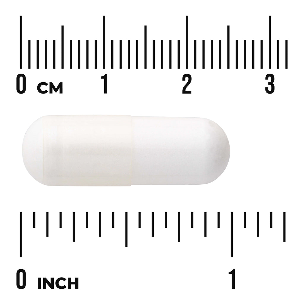 SW1195 | White capsule shown with centimeter and inch rulers for size reference - Thumbnail