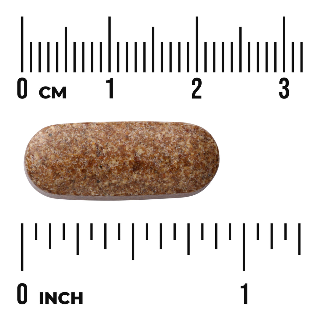 SWC110 | Brown speckled oblong caplet with size shown by rulers in cm and inches - Thumbnail