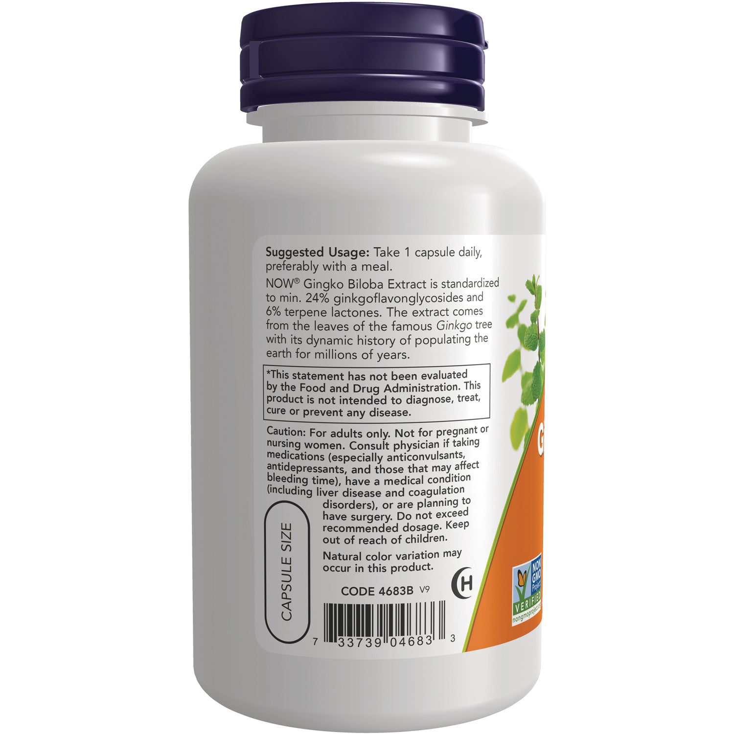 NWF309 | Back of white supplement bottle showing suggested usage text, barcode, capsule size and partial ginkgo label