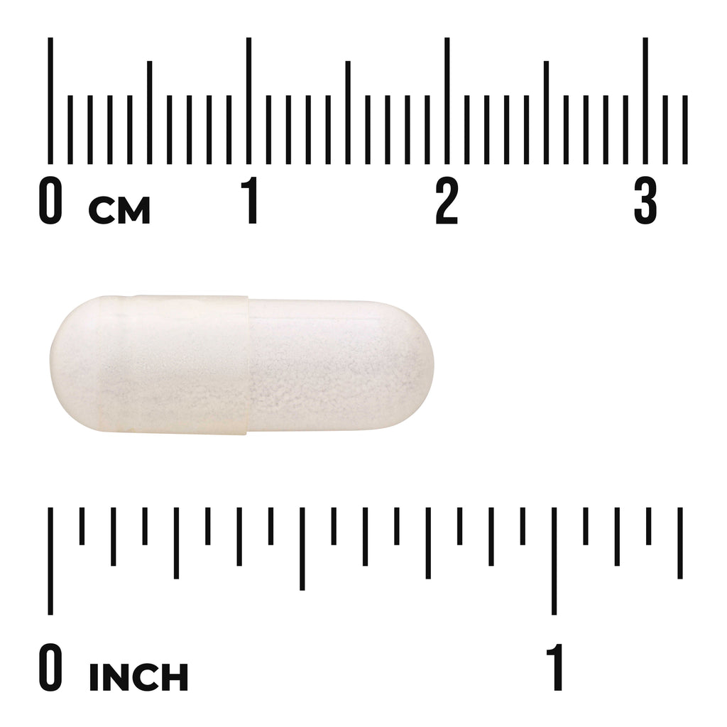 SWU211 | white capsule on centimeter and inch rulers showing size - Thumbnail