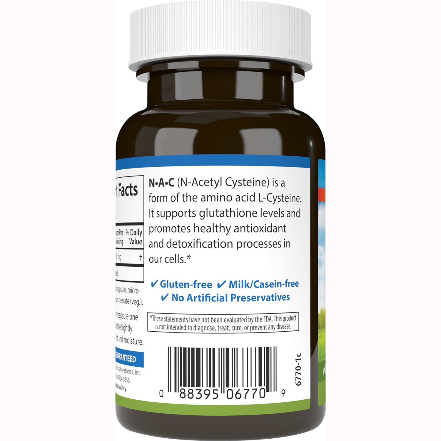 CSN193 | Back of supplement bottle label showing N-A-C description, gluten-free milk/casein-free claims and barcode