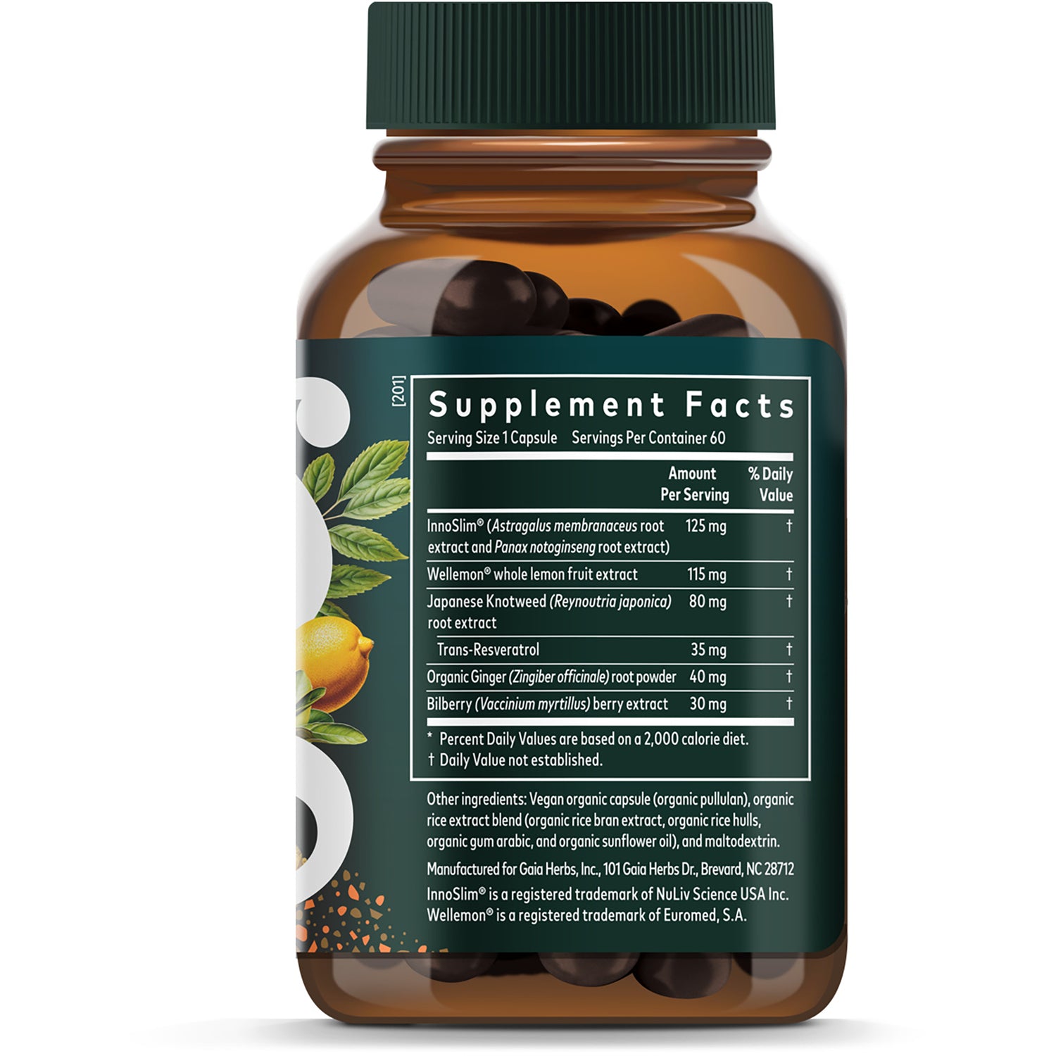 GH163 | Supplement Facts back panel showing ingredient list, amounts per serving, other ingredients and suggested use