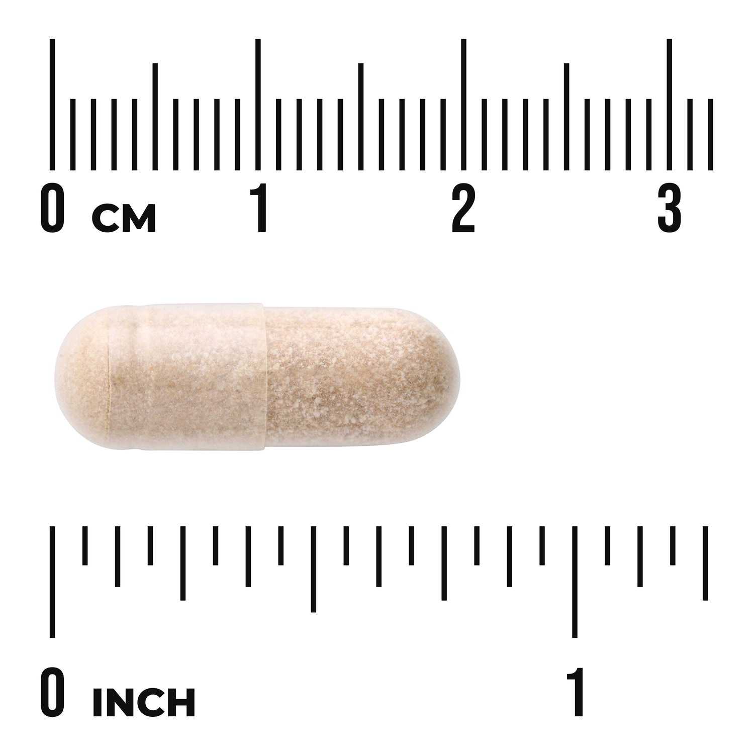 SW1303 | Beige capsule filled with powder placed between centimeter and inch rulers showing about 1 inch length