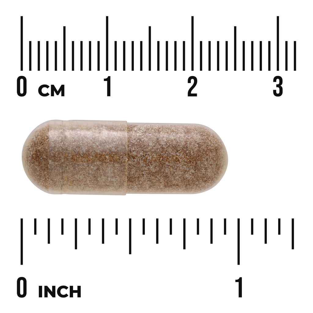 SWH272 | clear capsule filled with brown powder shown against centimeter and inch rulers for size reference - Thumbnail