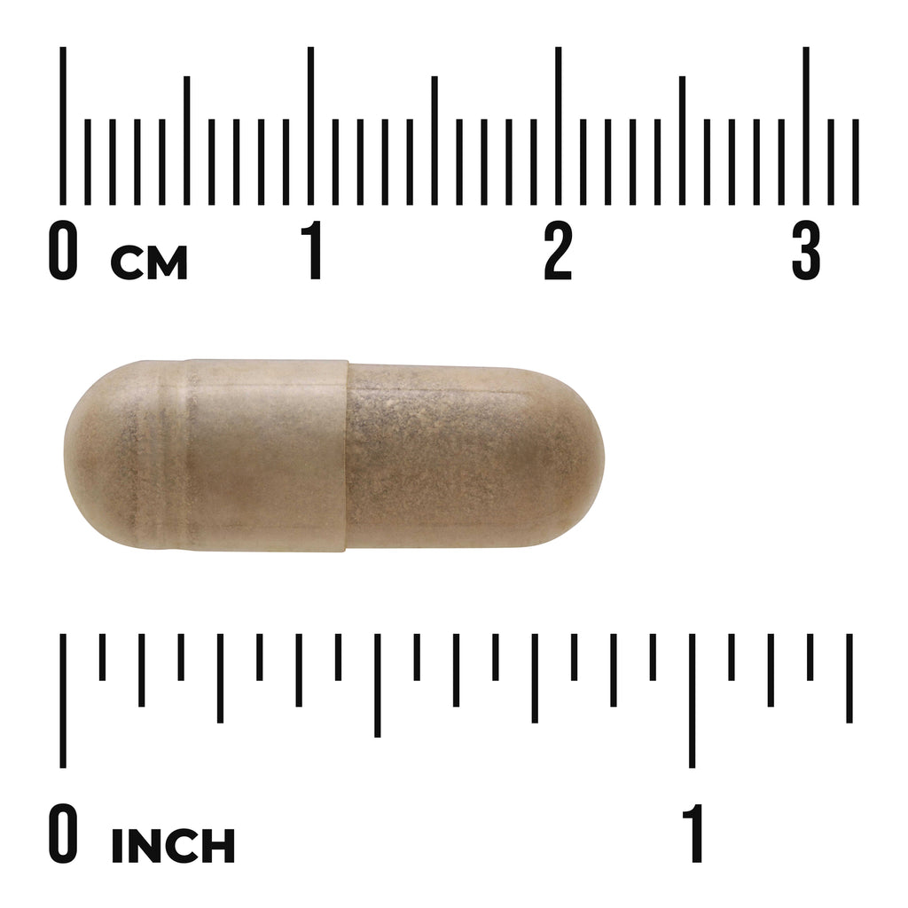 SWH265 | Brown capsule with 0 cm and 0 inch rulers for size reference - Thumbnail