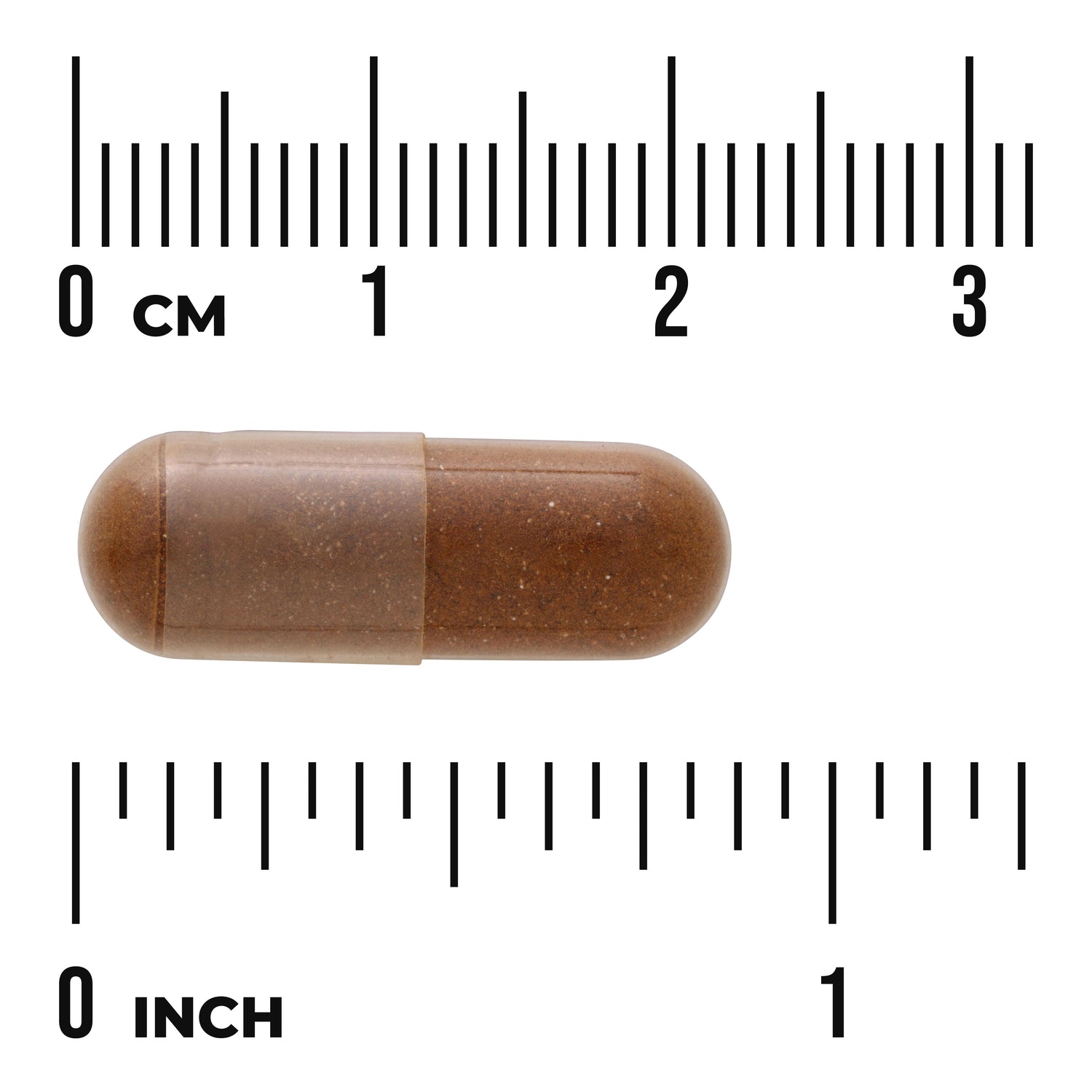 SW1818 | Brown capsule shown to scale with inch and centimeter rulers