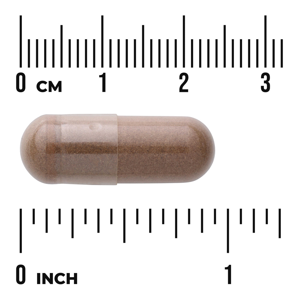 SW1684 | Brown capsule with size scale in cm and inches - Thumbnail