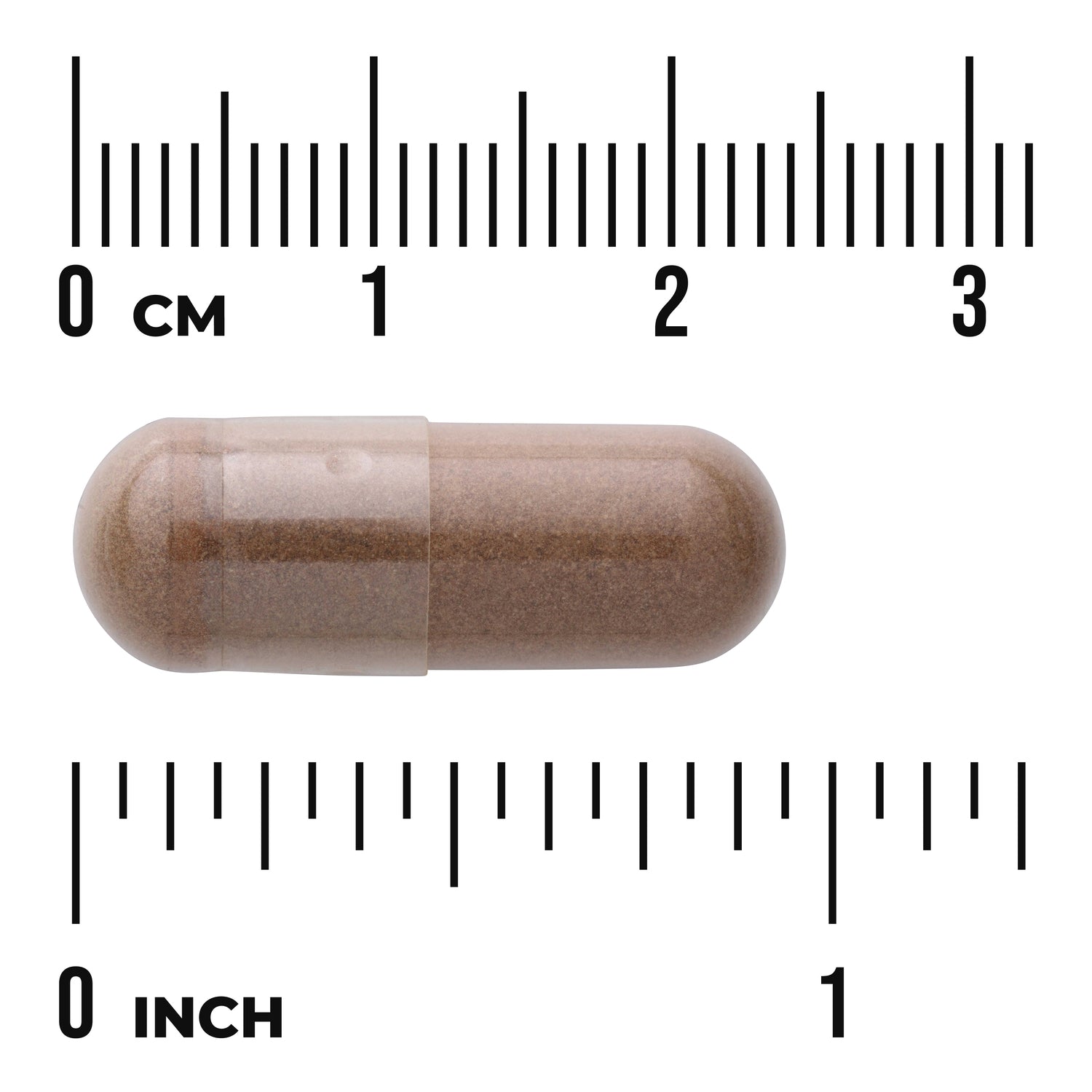 SW1684 | Brown capsule with size scale in cm and inches