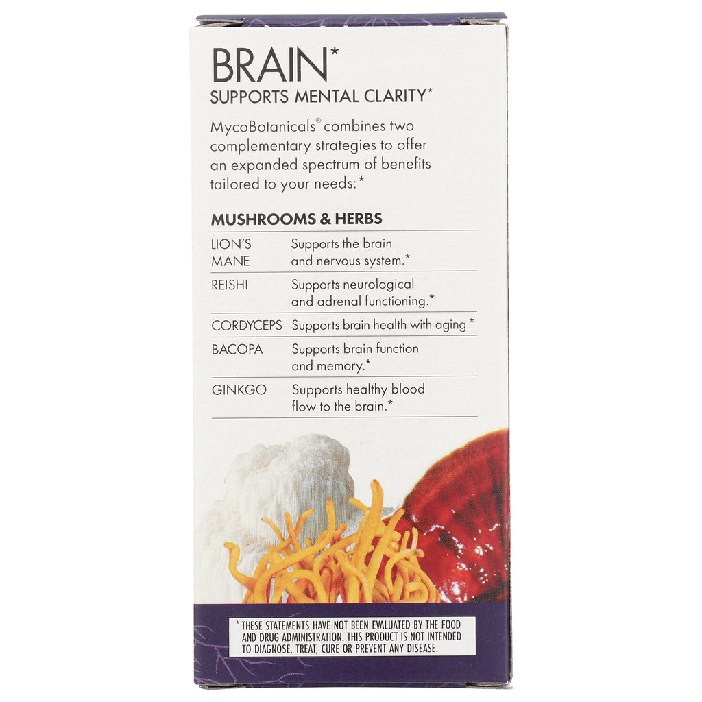 FUN024 | back of supplement box labeled BRAIN supports mental clarity listing mushrooms and herbs with brief benefits - Thumbnail
