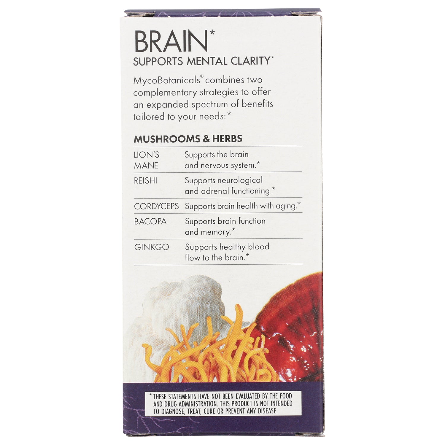 FUN024 | back of supplement box labeled BRAIN supports mental clarity listing mushrooms and herbs with brief benefits