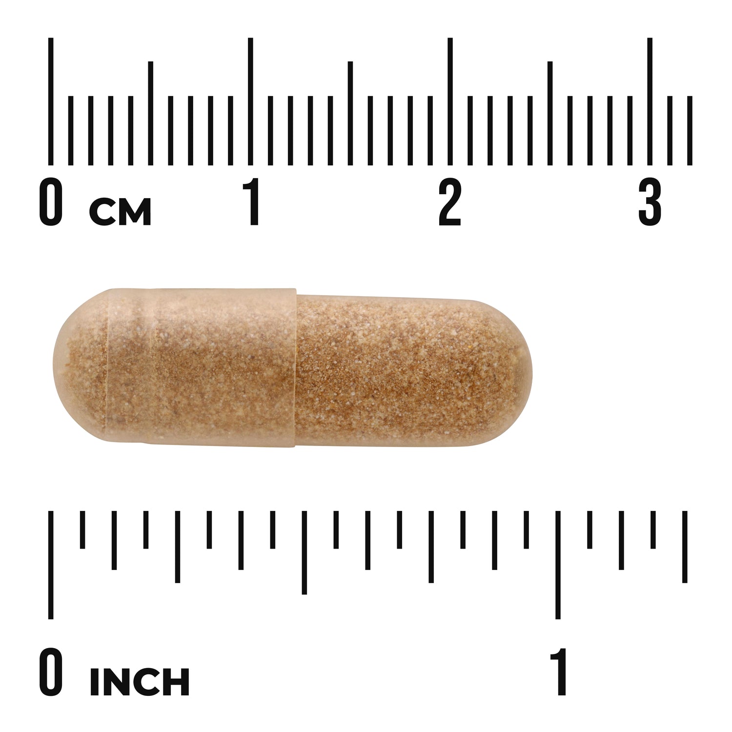 SW1827 | Brown capsule shown with cm and inch ruler for size reference