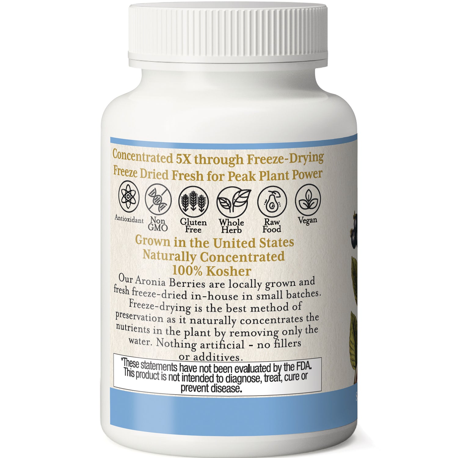 EC019 | back label of white supplement bottle showing freeze-dried claims, benefit icons (antioxidant, non-GMO, gluten free, vegan), kosher statement and FDA disclaimer