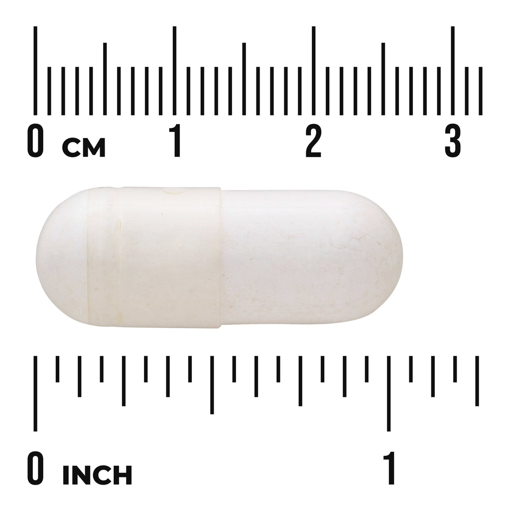 SWU1111 | White capsule with centimeter and inch rulers for size - Thumbnail