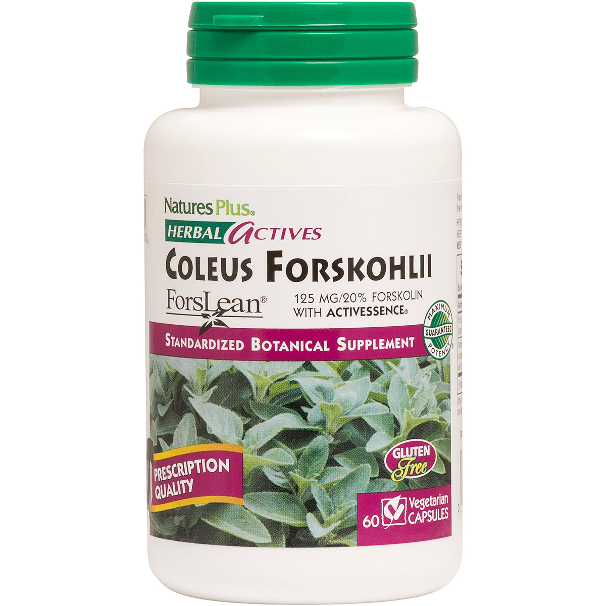 NTP216 | Nature's Plus Coleus Forskohlii herbal supplement bottle, 60 vegetarian capsules, front view