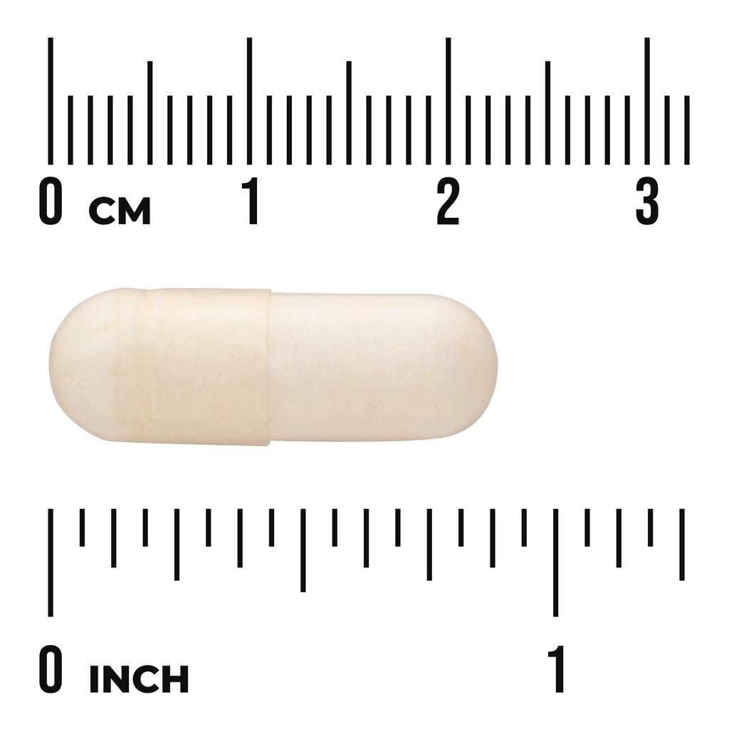 SWA003 | Beige capsule with size scale in centimeters and inches - Thumbnail
